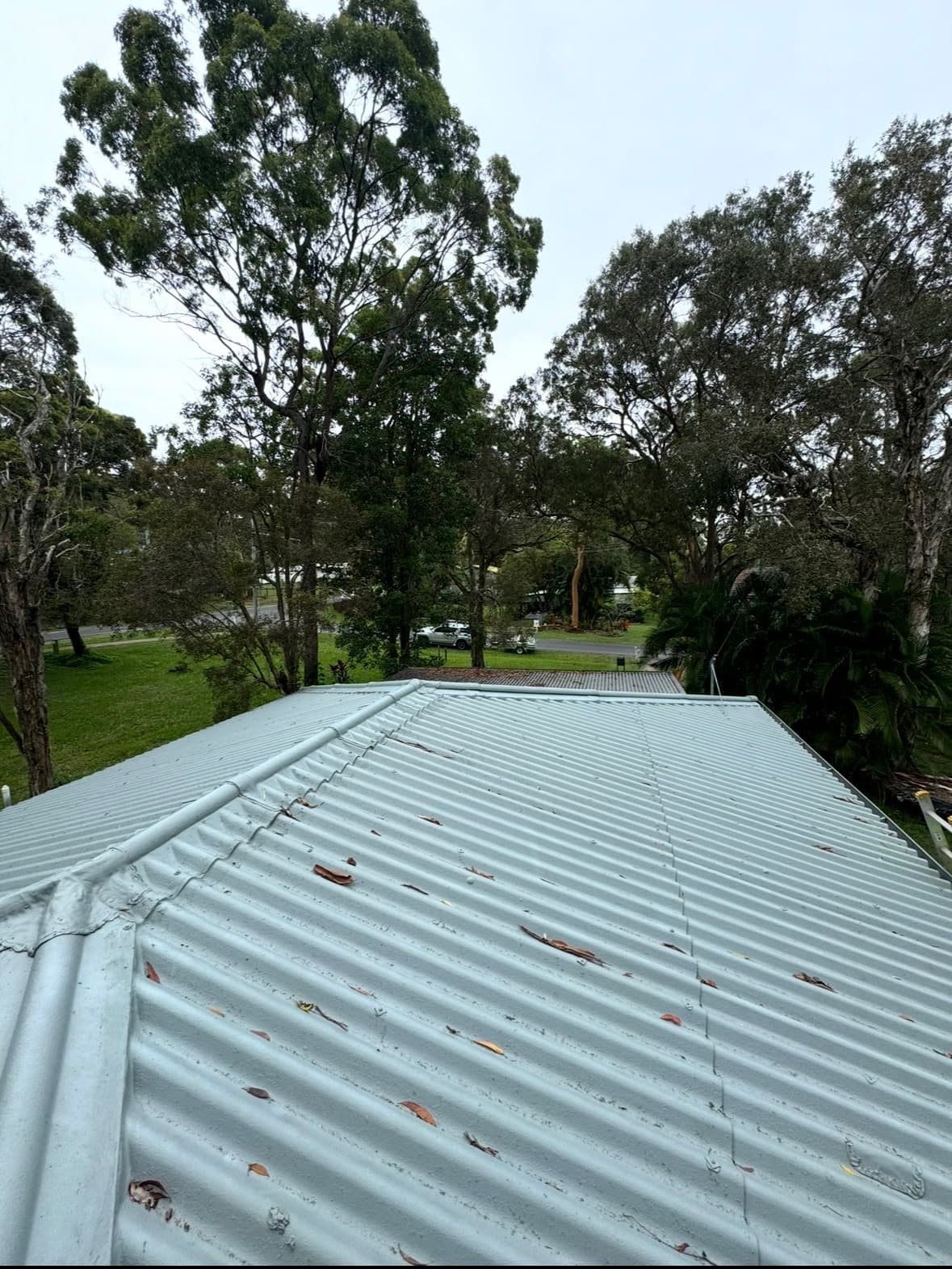 Third roof before restoration - old faded sheeting